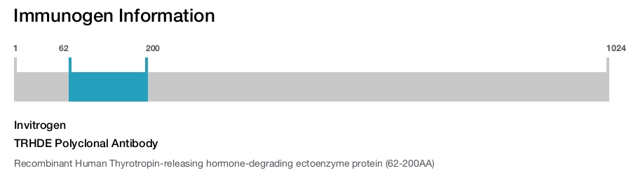 TRHDE Polyclonal Antibody