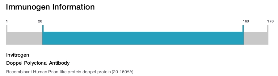 Doppel Polyclonal Antibody