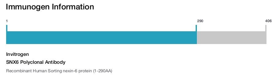 SNX6 Polyclonal Antibody