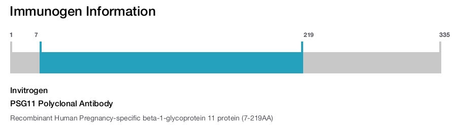 PSG11 Polyclonal Antibody