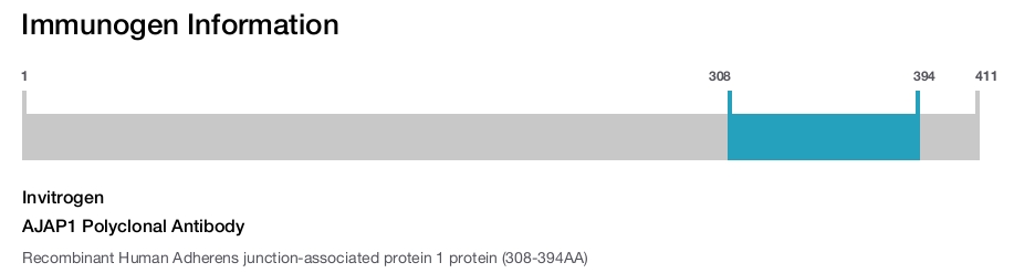 AJAP1 Polyclonal Antibody