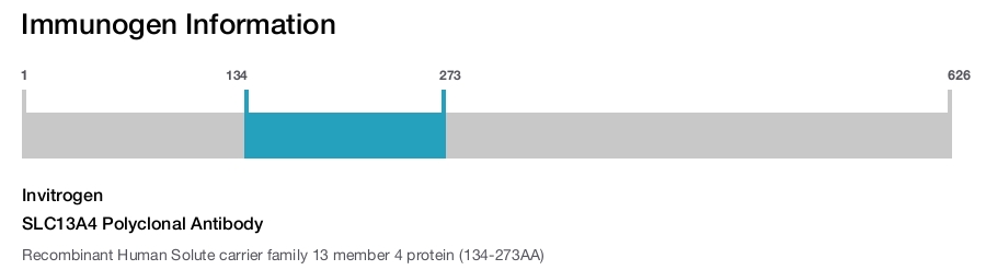 SLC13A4 Polyclonal Antibody