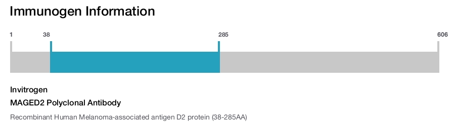MAGED2 Polyclonal Antibody