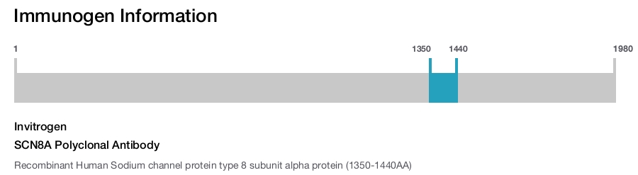 SCN8A Polyclonal Antibody