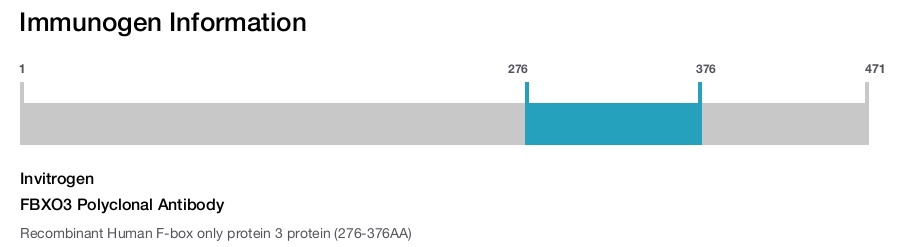FBXO3 Polyclonal Antibody
