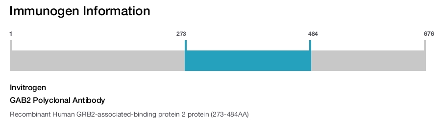 GAB2 Polyclonal Antibody