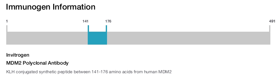 MDM2 Polyclonal Antibody