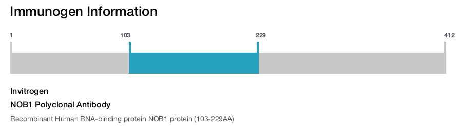 NOB1 Polyclonal Antibody