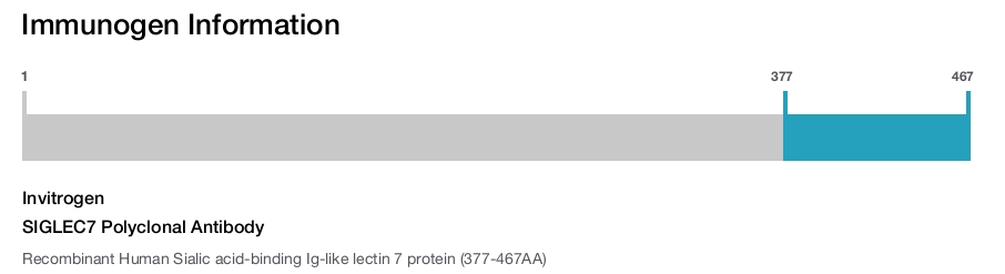 SIGLEC7 Polyclonal Antibody