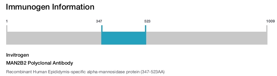 MAN2B2 Polyclonal Antibody