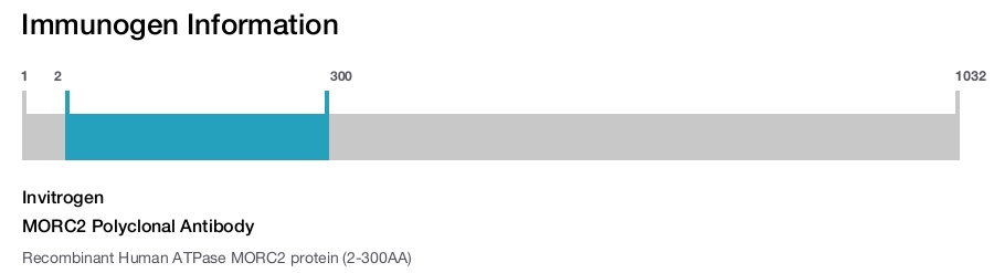 MORC2 Polyclonal Antibody