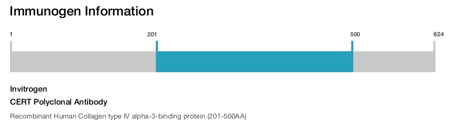 CERT Polyclonal Antibody