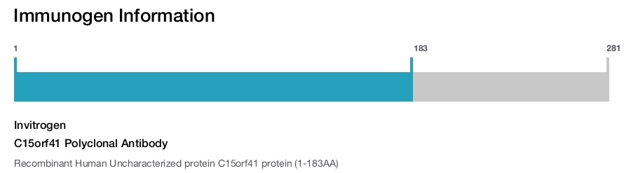 C15orf41 Polyclonal Antibody