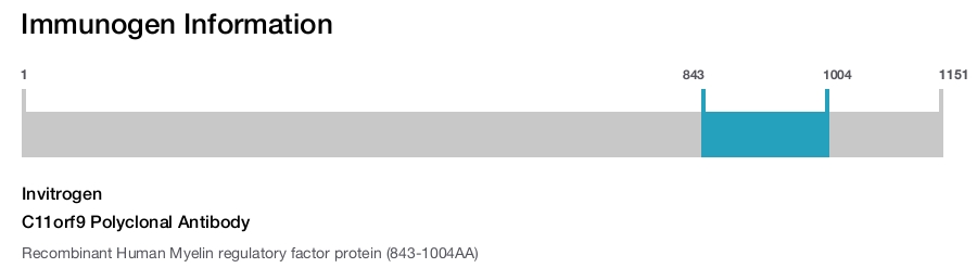 C11orf9 Polyclonal Antibody