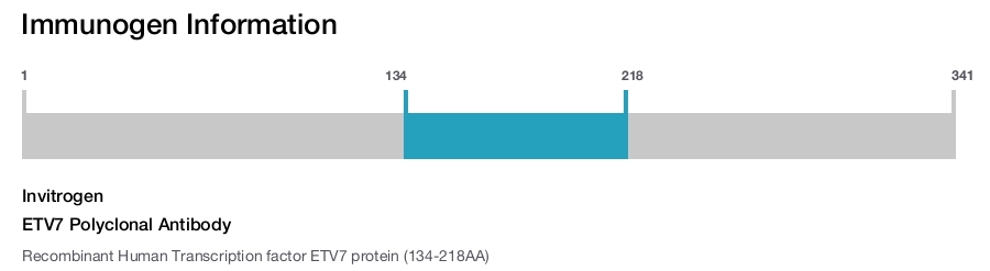 ETV7 Polyclonal Antibody