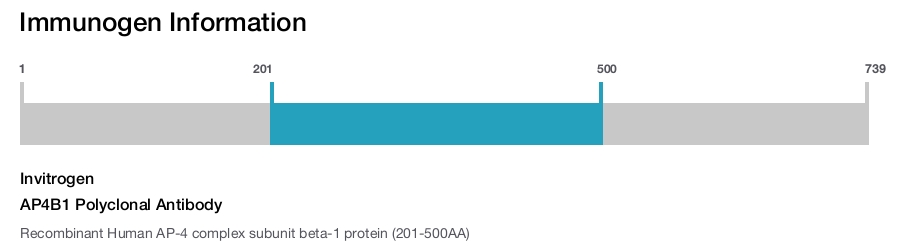 AP4B1 Polyclonal Antibody