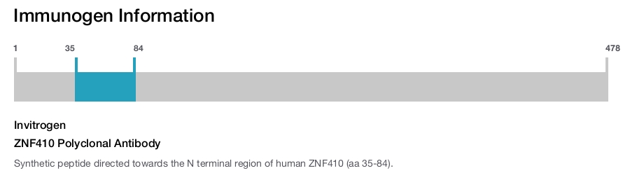 ZNF410 Polyclonal Antibody