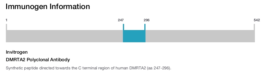 DMRTA2 Polyclonal Antibody