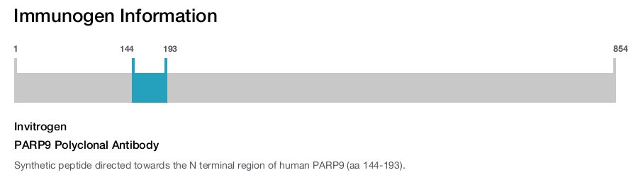 PARP9 Polyclonal Antibody