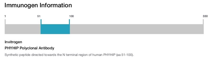 PHYHIP Polyclonal Antibody