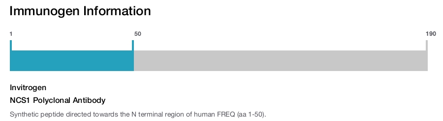 NCS1 Polyclonal Antibody