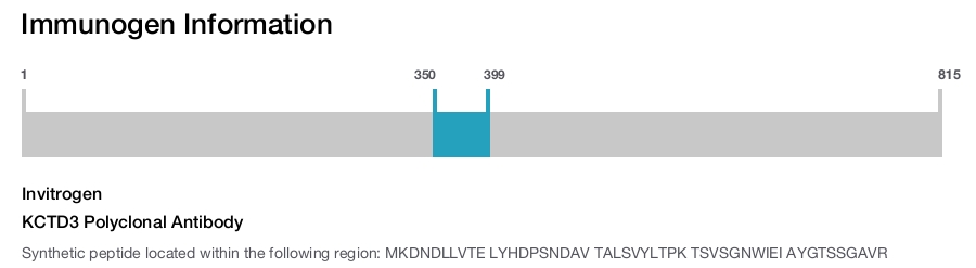 KCTD3 Polyclonal Antibody