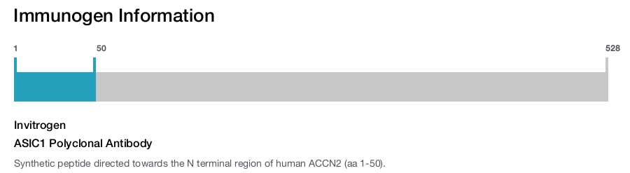 ASIC1 Polyclonal Antibody