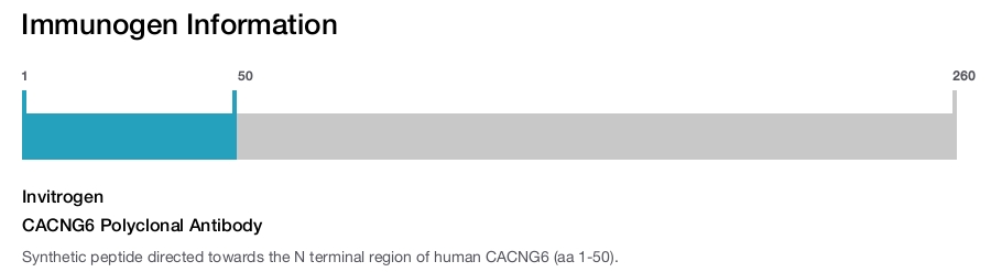 CACNG6 Polyclonal Antibody