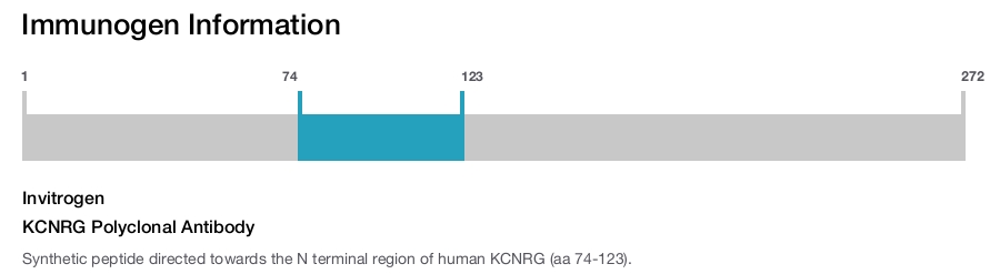KCNRG Polyclonal Antibody