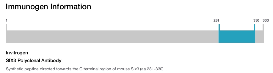SIX3 Polyclonal Antibody