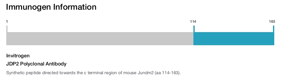 JDP2 Polyclonal Antibody