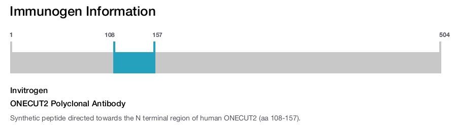 ONECUT2 Polyclonal Antibody