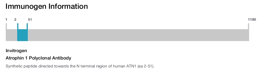 Atrophin 1 Polyclonal Antibody