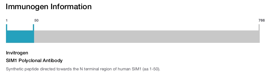 SIM1 Polyclonal Antibody