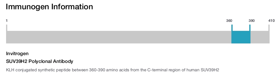 SUV39H2 Polyclonal Antibody