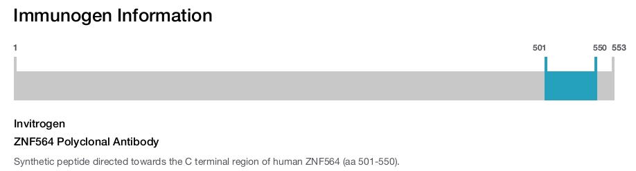 ZNF564 Polyclonal Antibody