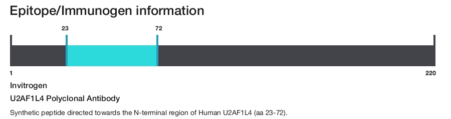 U2AF1L4 Polyclonal Antibody