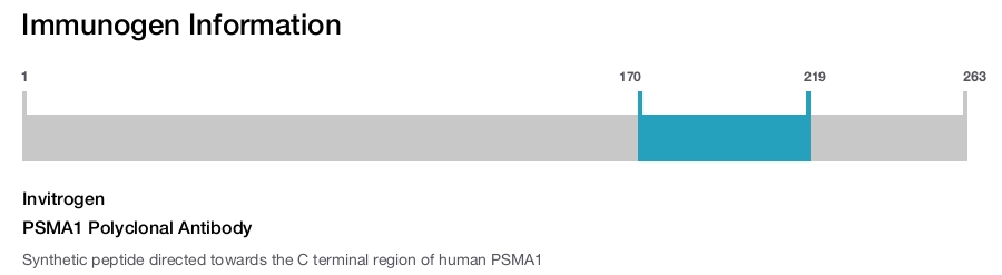 PSMA1 Polyclonal Antibody