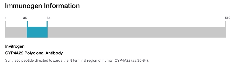 CYP4A22 Polyclonal Antibody