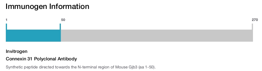Connexin 31 Polyclonal Antibody