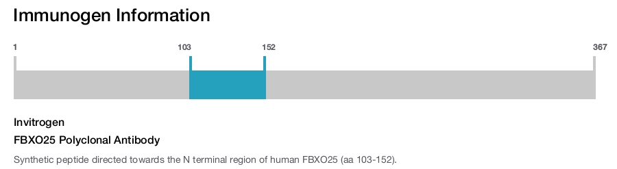 FBXO25 Polyclonal Antibody