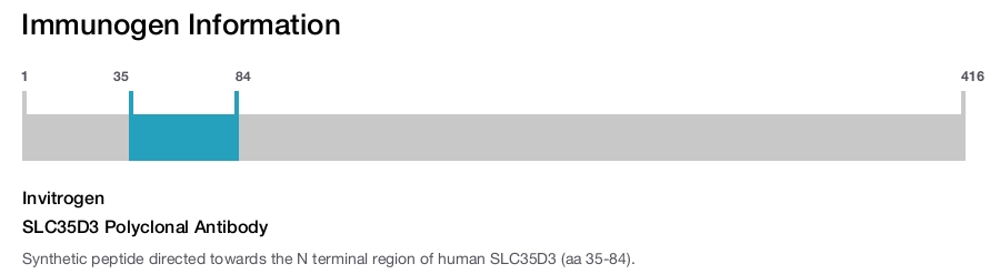 SLC35D3 Polyclonal Antibody