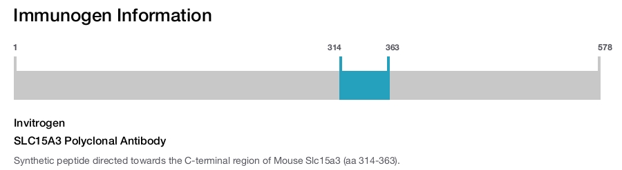 SLC15A3 Polyclonal Antibody