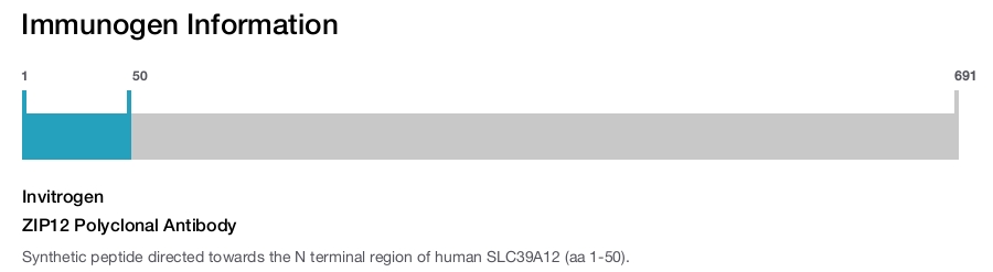 ZIP12 Polyclonal Antibody