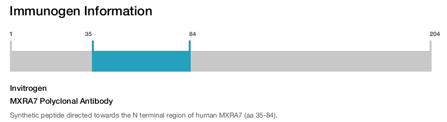MXRA7 Polyclonal Antibody