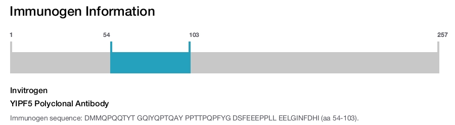 YIPF5 Polyclonal Antibody