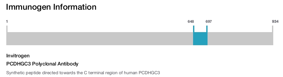 PCDHGC3 Polyclonal Antibody