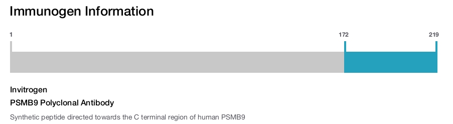 PSMB9 Polyclonal Antibody