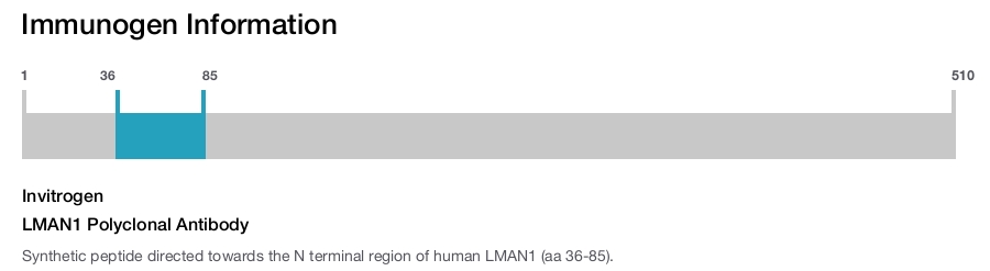 LMAN1 Polyclonal Antibody