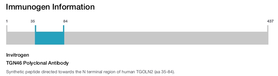 TGN46 Polyclonal Antibody